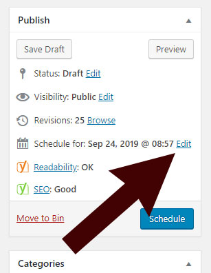 Schedule a WordPress post