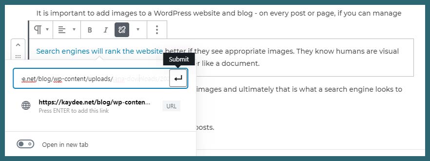 How To Add A Pdf To Wordpress And Link To It Step By Step