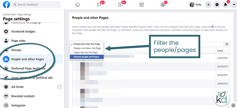 Facebook page visibility and restrictions for creditable business