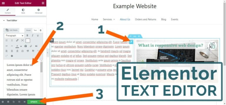 The Elementor Text Editor