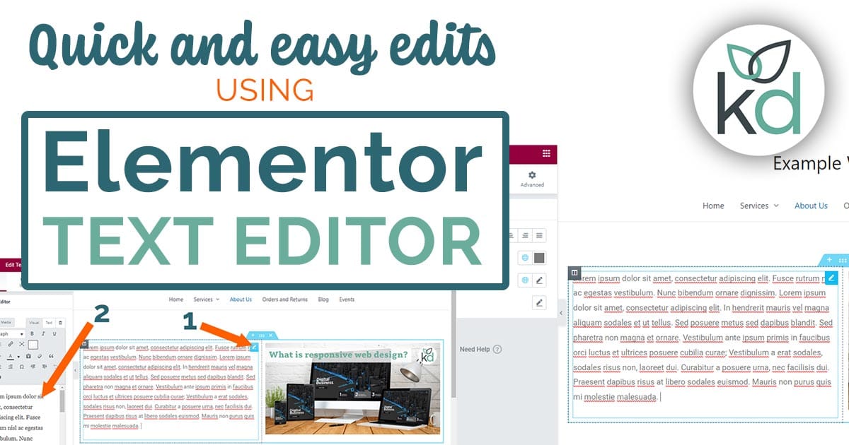 Elementor Text Editor - Editing Text, Font Size and Line Spacing